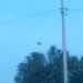 Bitonto 26.04.2010 (pallone aerostatico)